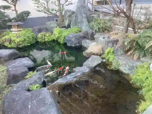 甚行寺の{uncategorized: "未分類", other: "その他", undefined: "問題あり", building: "その他建物", grave: "お墓", sacred_gate: "鳥居", guardian: "狛犬", statue: "像", buddha: "仏像", history: "歴史", nature: "自然", garden: "庭園", animal: "動物", pagoda: "塔", temizu: "手水舎", mountain_gate: "山門・神門", sanctuary: "本殿・本堂", subordinate: "末社・摂社", art: "芸術", scenery: "景色", jizo: "地蔵", ema: "絵馬", goshuin: "御朱印", omikuji: "おみくじ", items: "授与品その他", amulet: "お守り", goshuincho: "御朱印帳", eats: "食事", festival: "お祭り", votive_dance: "神楽", shichigosan: "七五三参", wedding: "結婚式", experience: "体験その他", initially: "初詣", around: "周辺", anti_infection: "感染症対策"}