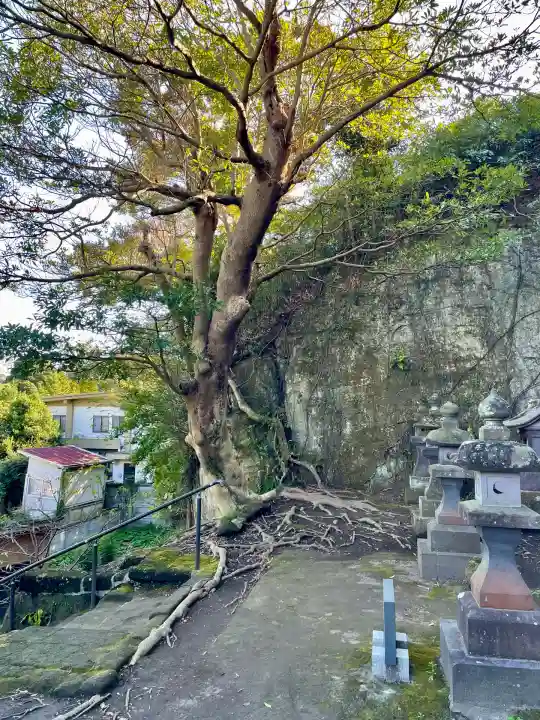 英勝寺(神奈川県)