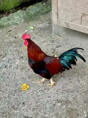 石上神宮(奈良県)