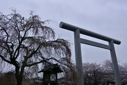 櫻木神社の鳥居