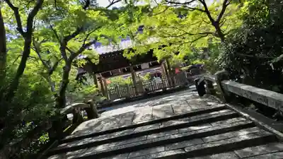 鍬山神社(京都府)