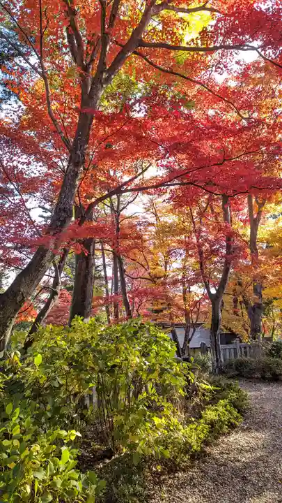 柳谷観音 楊谷寺(京都府)
