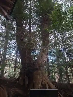 黒沼神社(福島県)