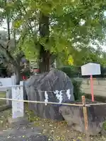 山名八幡宮(群馬県)