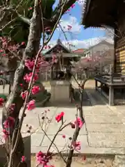 天神社の自然