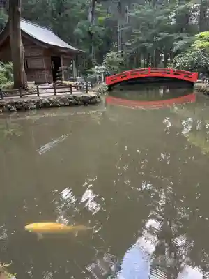 小國神社(静岡県)