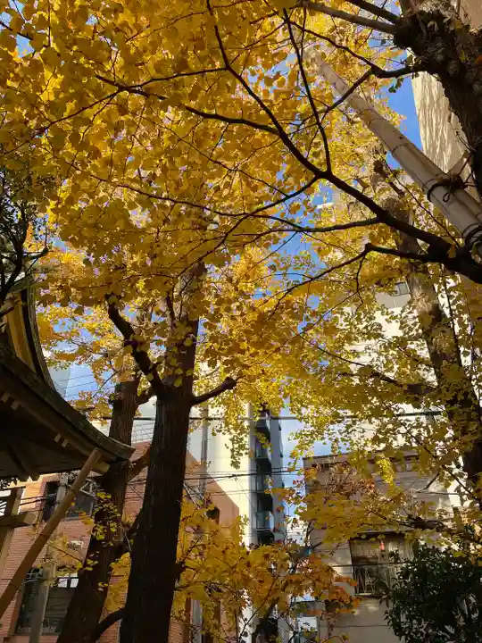 銀杏岡八幡神社(東京都)