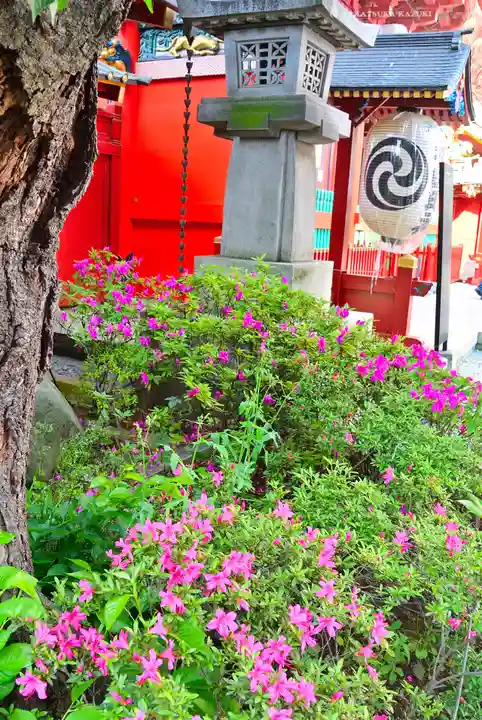 神田神社(神田明神)(東京都)