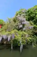 嘉川八幡宮(山口県)