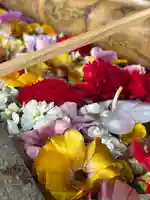 花手水
桜満開記念ver.