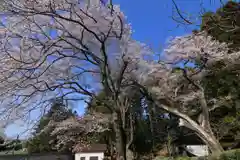 諏訪神社の景色