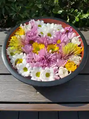 増上寺塔頭 三縁山 宝珠院の{uncategorized: "未分類", other: "その他", undefined: "問題あり", building: "その他建物", grave: "お墓", sacred_gate: "鳥居", guardian: "狛犬", statue: "像", buddha: "仏像", history: "歴史", nature: "自然", garden: "庭園", animal: "動物", pagoda: "塔", temizu: "手水舎", mountain_gate: "山門・神門", sanctuary: "本殿・本堂", subordinate: "末社・摂社", art: "芸術", scenery: "景色", jizo: "地蔵", ema: "絵馬", goshuin: "御朱印", omikuji: "おみくじ", items: "授与品その他", amulet: "お守り", goshuincho: "御朱印帳", eats: "食事", festival: "お祭り", votive_dance: "神楽", shichigosan: "七五三参", wedding: "結婚式", experience: "体験その他", initially: "初詣", around: "周辺", anti_infection: "感染症対策"}