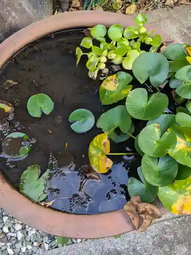 妙経寺(東京都)