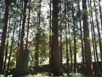 精進川浅間神社の自然