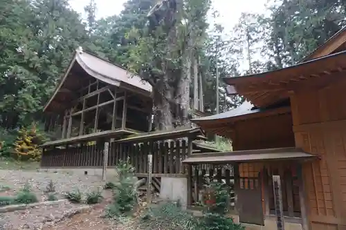 大渕天神社のその他建物