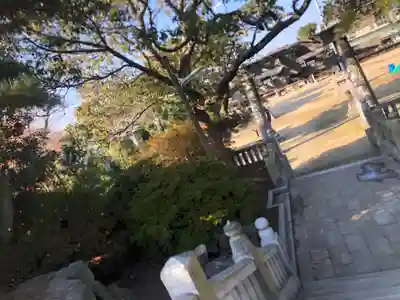 坂出八幡神社(八幡神社)のその他建物