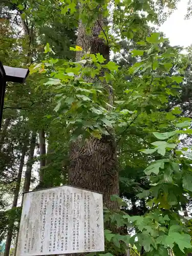 石鳥谷熊野神社の歴史