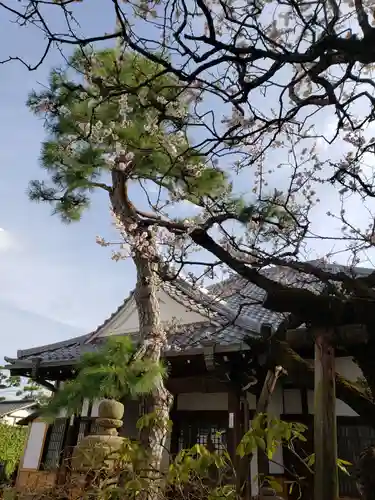 永心寺の自然