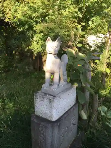 東山稲荷神社の狛犬