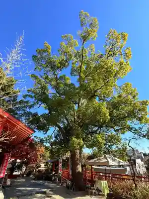 神戸水天宮(兵庫県)