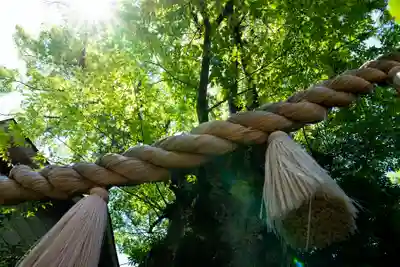 溝口神社(神奈川県)