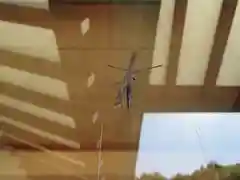 屋久島大社の動物