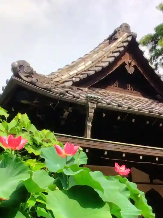 宗延寺(東京都)