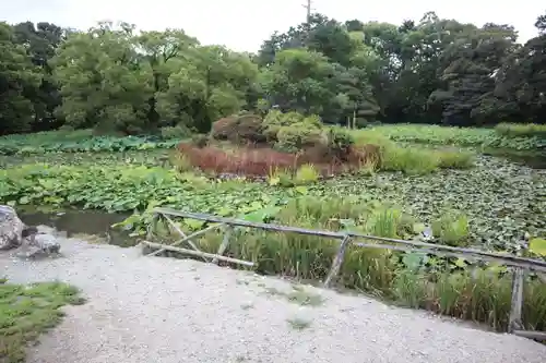 勧修寺(京都府)