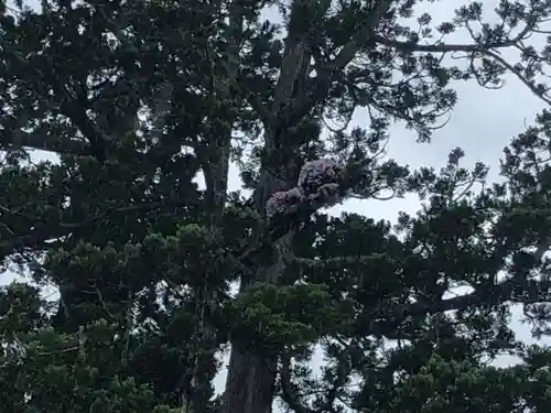 瑞巌寺(宮城県)