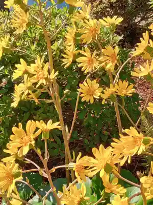 蓮華王院（三十三間堂）(京都府)