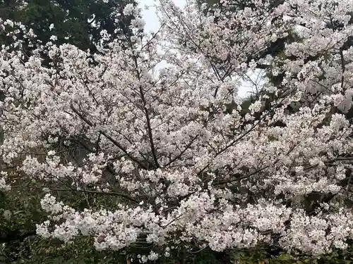 法金剛院(京都府)