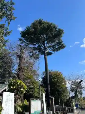 深見神社の{uncategorized: "未分類", other: "その他", undefined: "問題あり", building: "その他建物", grave: "お墓", sacred_gate: "鳥居", guardian: "狛犬", statue: "像", buddha: "仏像", history: "歴史", nature: "自然", garden: "庭園", animal: "動物", pagoda: "塔", temizu: "手水舎", mountain_gate: "山門・神門", sanctuary: "本殿・本堂", subordinate: "末社・摂社", art: "芸術", scenery: "景色", jizo: "地蔵", ema: "絵馬", goshuin: "御朱印", omikuji: "おみくじ", items: "授与品その他", amulet: "お守り", goshuincho: "御朱印帳", eats: "食事", festival: "お祭り", votive_dance: "神楽", shichigosan: "七五三参", wedding: "結婚式", experience: "体験その他", initially: "初詣", around: "周辺", anti_infection: "感染症対策"}