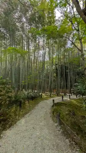 圓光寺(京都府)
