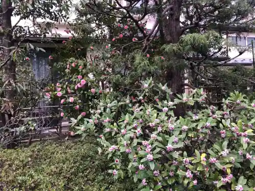 徳泉寺の{uncategorized: "未分類", other: "その他", undefined: "問題あり", building: "その他建物", grave: "お墓", sacred_gate: "鳥居", guardian: "狛犬", statue: "像", buddha: "仏像", history: "歴史", nature: "自然", garden: "庭園", animal: "動物", pagoda: "塔", temizu: "手水舎", mountain_gate: "山門・神門", sanctuary: "本殿・本堂", subordinate: "末社・摂社", art: "芸術", scenery: "景色", jizo: "地蔵", ema: "絵馬", goshuin: "御朱印", omikuji: "おみくじ", items: "授与品その他", amulet: "お守り", goshuincho: "御朱印帳", eats: "食事", festival: "お祭り", votive_dance: "神楽", shichigosan: "七五三参", wedding: "結婚式", experience: "体験その他", initially: "初詣", around: "周辺", anti_infection: "感染症対策"}