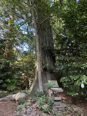 大井神社(茨城県)