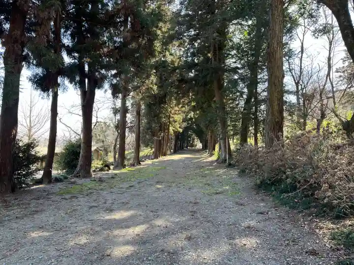 千代ケ岡八幡宮(栃木県)