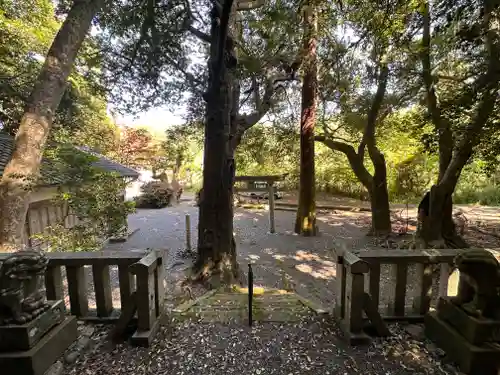 黒駒神社(福井県)