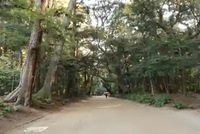 奥宮(鹿島神宮摂社)(茨城県)