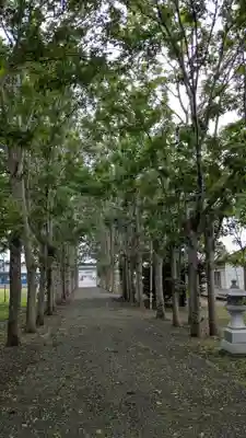遠別神社の景色