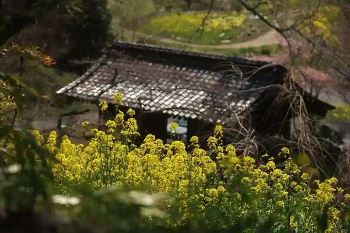 曹洞宗 永松山 龍泉寺の景色