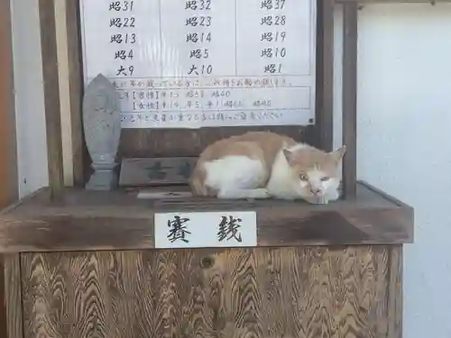 宝寿院(愛知県)