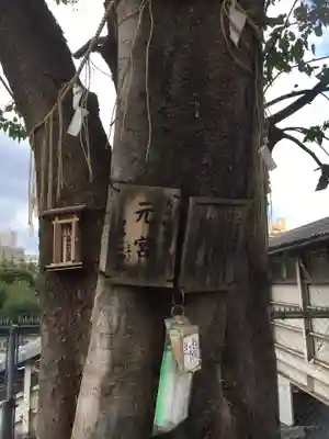 太田姫稲荷神社跡(一口神社)の自然
