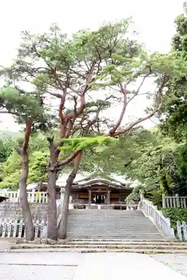函館八幡宮(北海道)