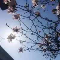 神明社(国府宮神明社)の自然