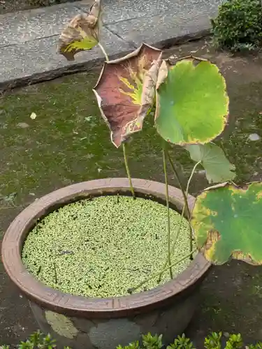 本妙院(東京都)