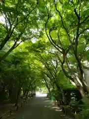 高円寺の建物その他