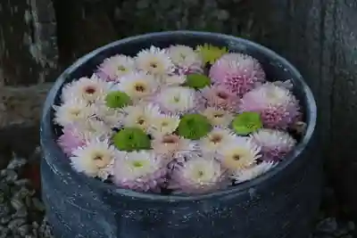 三春大神宮の手水舎
