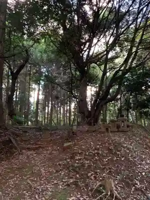 駒形大神(千葉県)