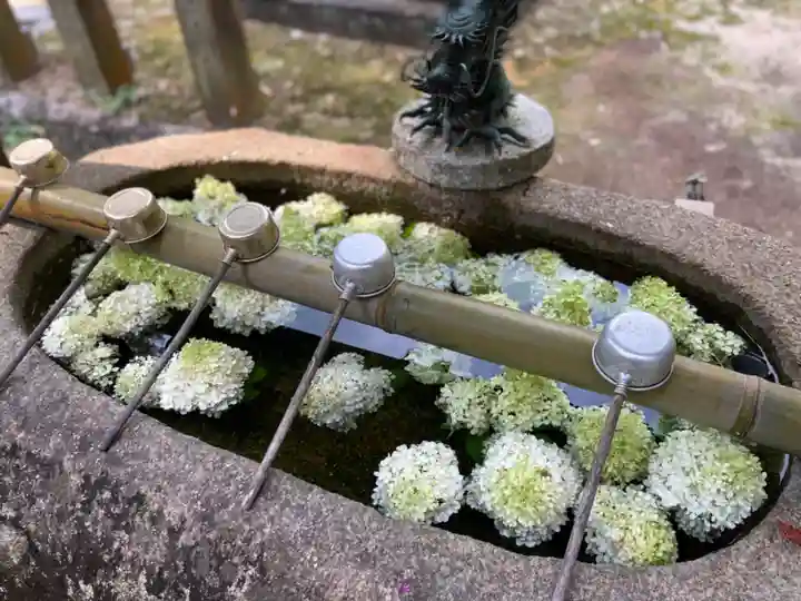 村屋坐弥冨都比売神社の手水舎