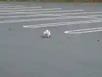 天岩戸神社(宮崎県)